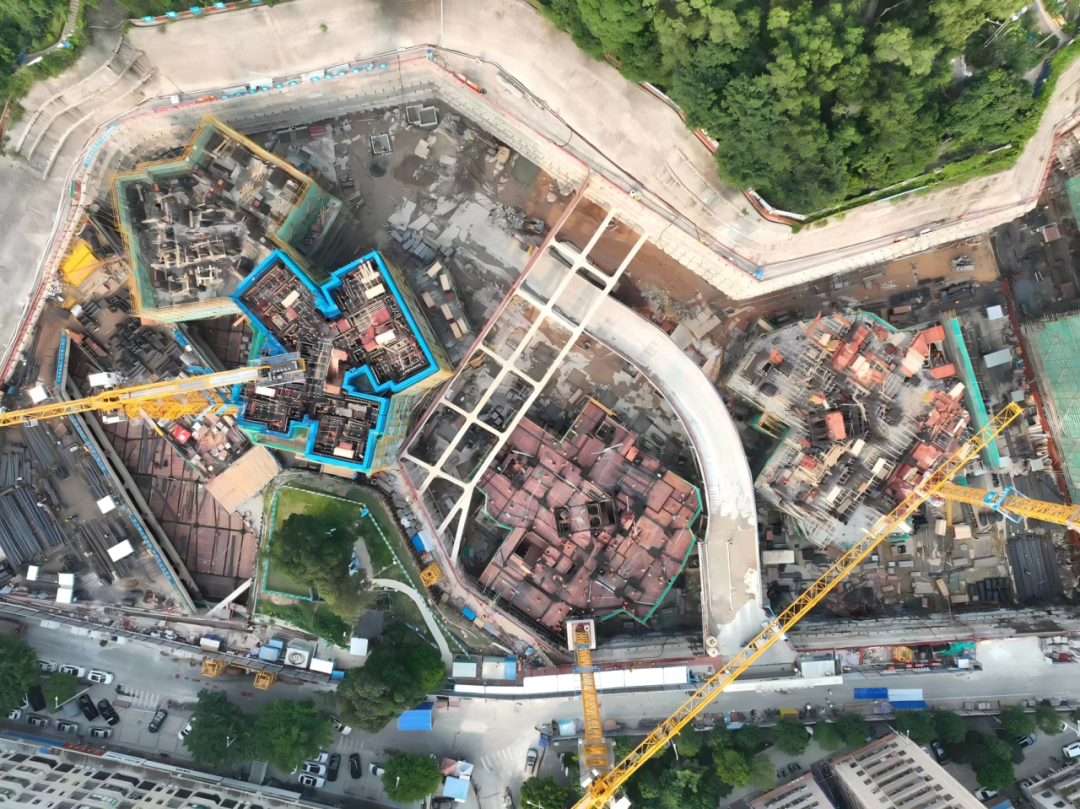 古树保护留住百年乡愁，城市更新提升人居品质丨建证幸福民生⑦-39