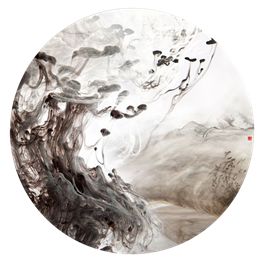 绍兴诸暨 430㎡现代东方气质合院样板房-0