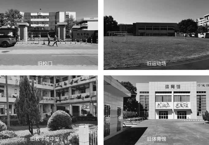 龙江外国语学校附属小学丨中国佛山丨竖梁社-8