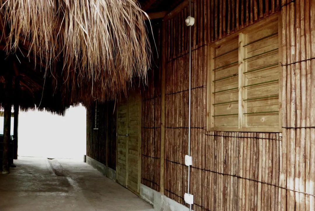 灵活应对气候变化的哥伦比亚住宅设计-25