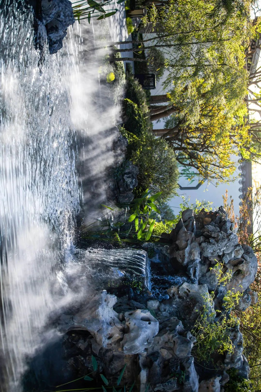 上海松江·泗水和鸣-13