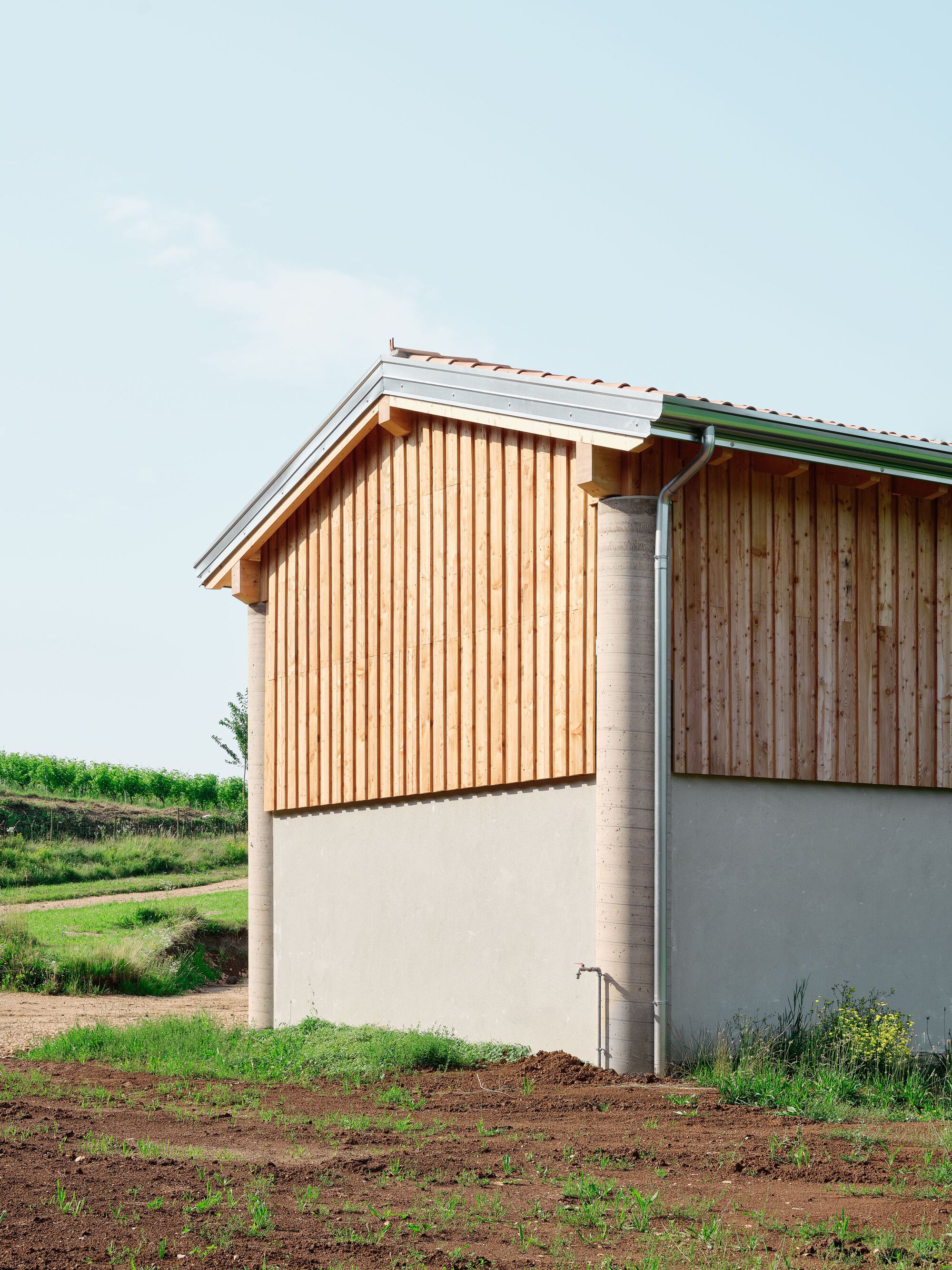 Vecie 酒庄生产设施丨意大利丨MASAAI 工作室-27