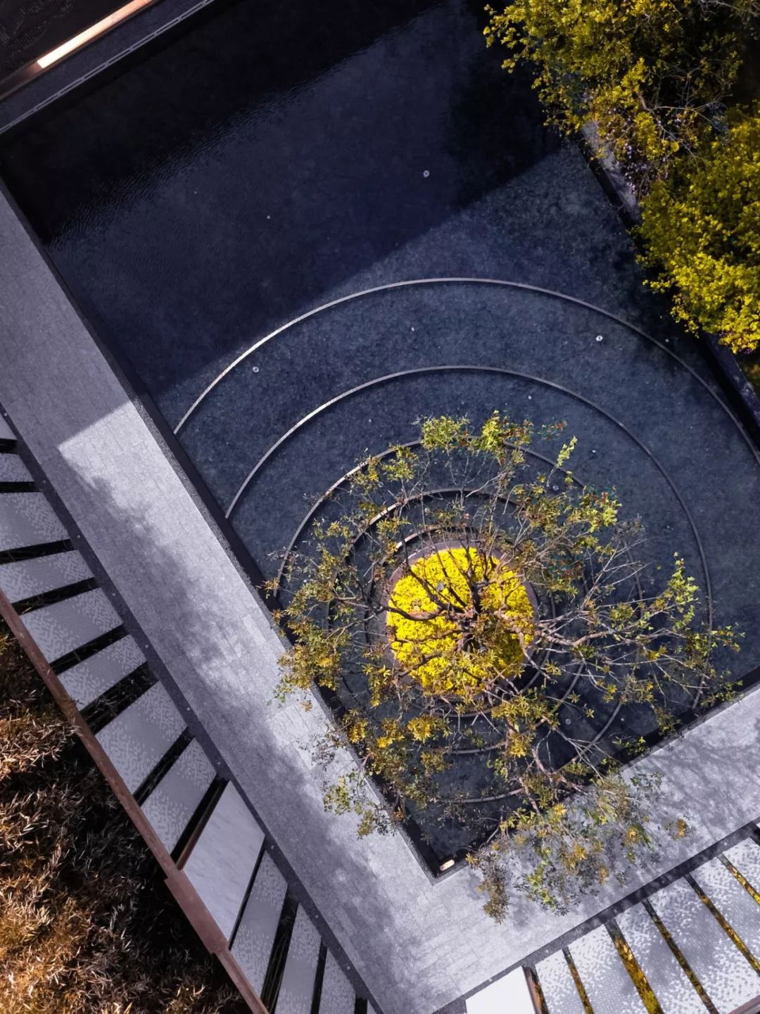 狭长夹缝中的隐谧花园 | 龙湖华董·春江天玺-31