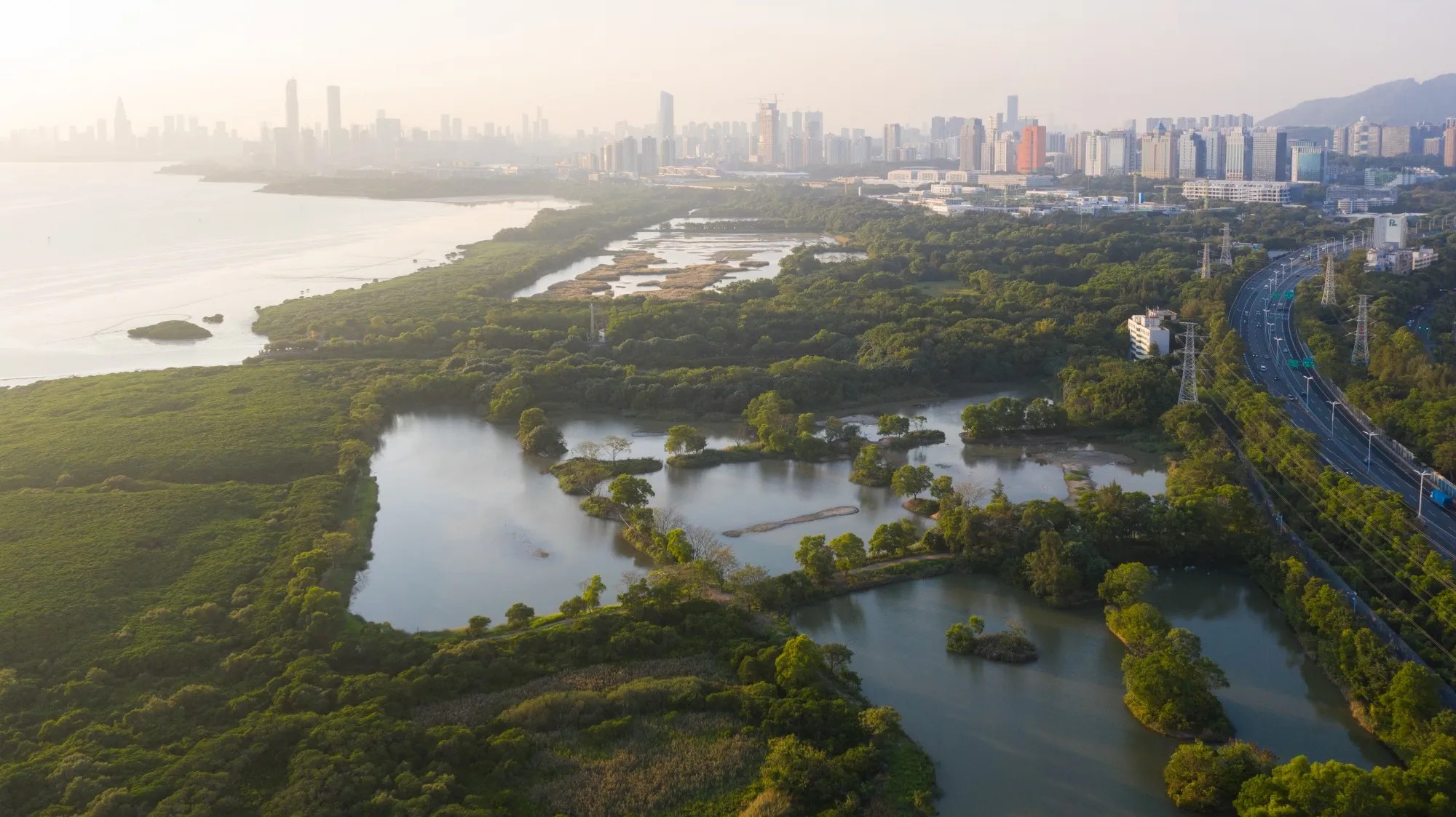 福田红树林国家级自然保护区避风塘,淡水塘,5  11号塘丨中国深圳丨北京一方天地环境景观规划设计咨询有限公司-4