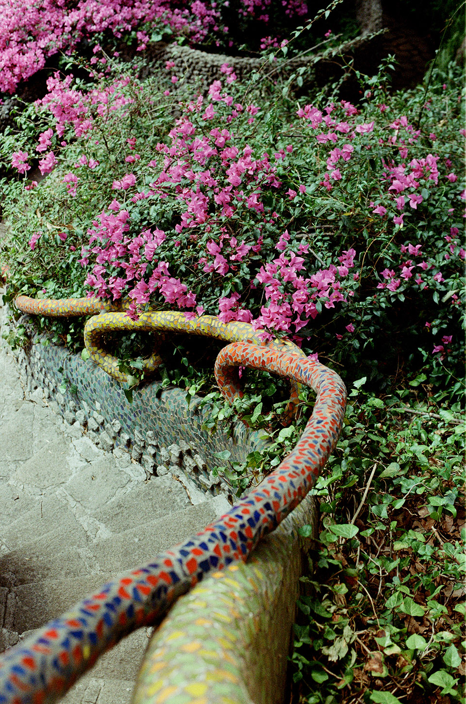 羽蛇神的巢穴丨墨西哥丨Javier Senosiain Aguilar-72