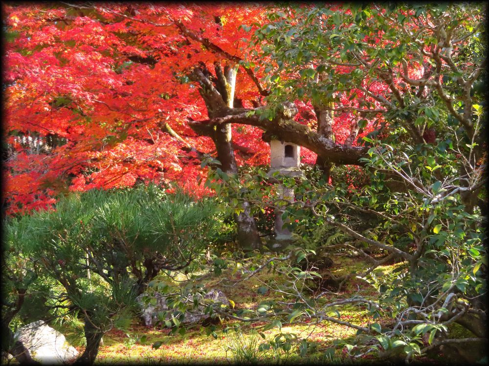 对龙山庄庭园丨日本京都丨七代目小川治兵衛-30