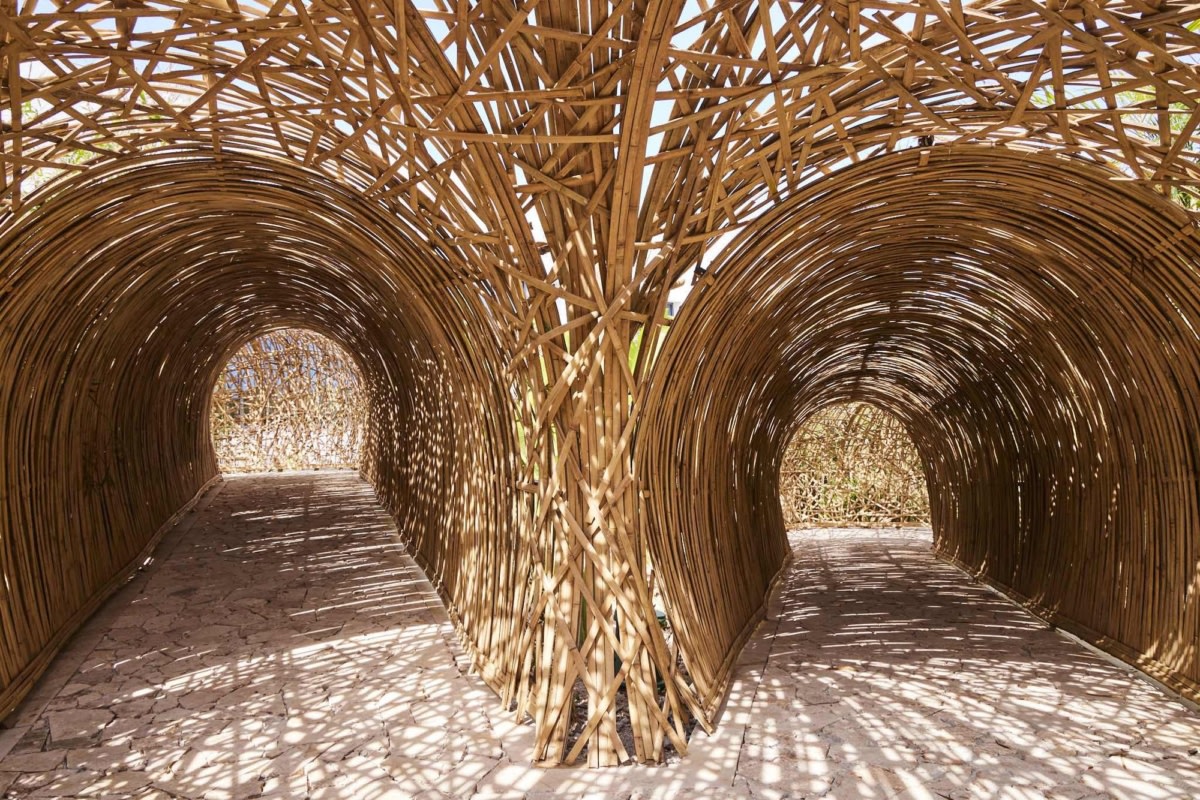 Conrad Tulum Riviera Maya 酒店丨墨西哥丨HBA San Francisco-17