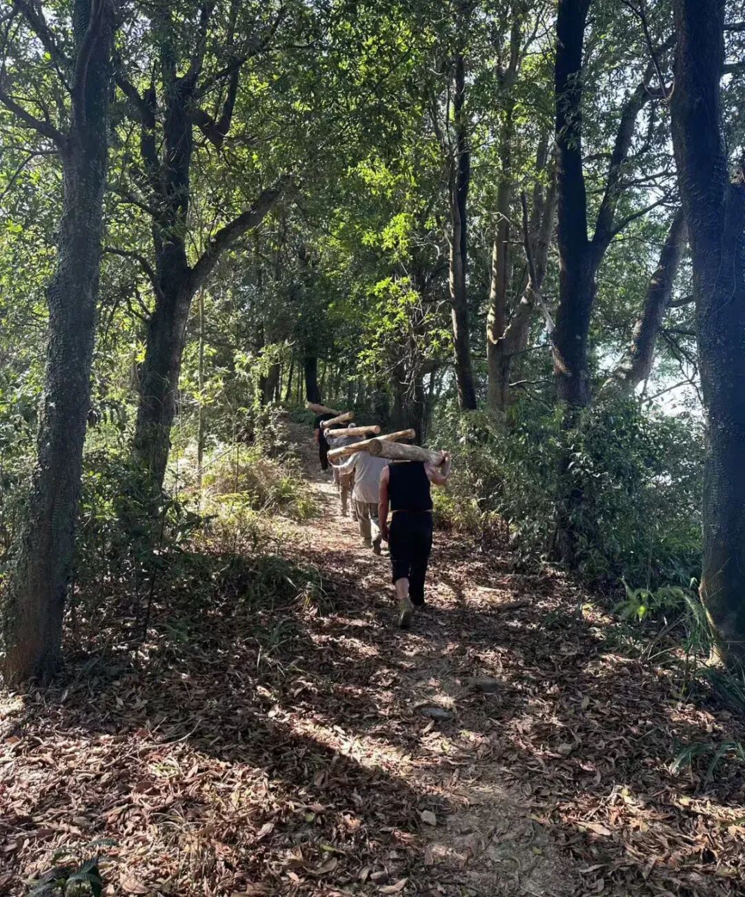 未名新作|山野有乾坤都市藏鲲鹏-深圳山海连城计划罗湖区东湖公园郊野径-莲塘口岸线-187