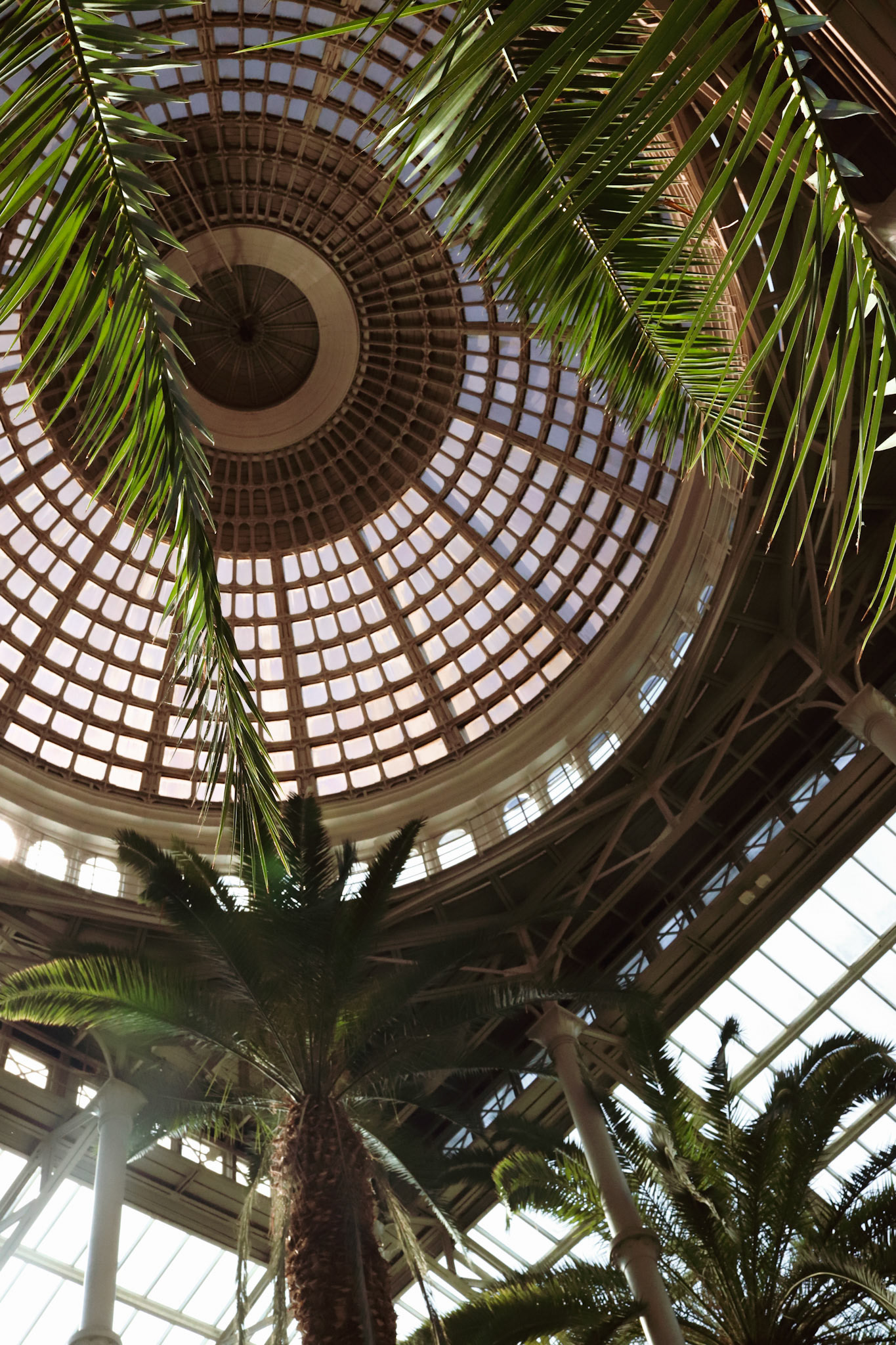 Ny Carlsberg Glyptotek 艺术博物馆丨丹麦哥本哈根-3