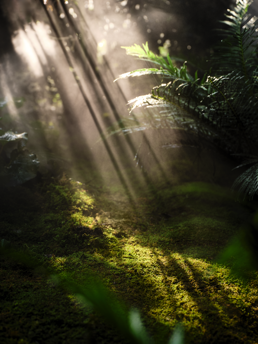 招商·锦城序 归心之境 序起锦城丨中国成都丨柏熙标识-0