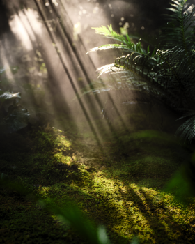 招商·锦城序 归心之境 序起锦城丨中国成都丨柏熙标识