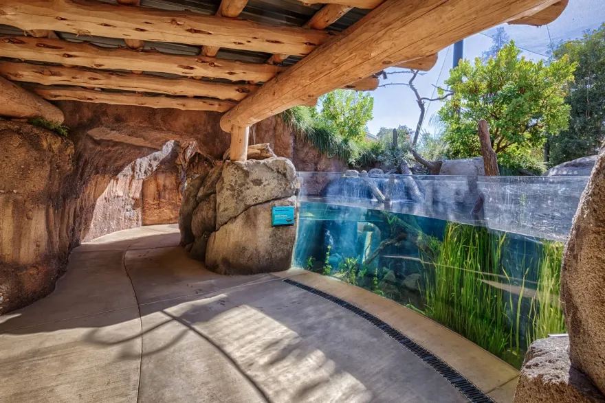 帕洛阿尔托青少年博物馆丨美国加利福尼亚丨CAW Architects,AIA-34