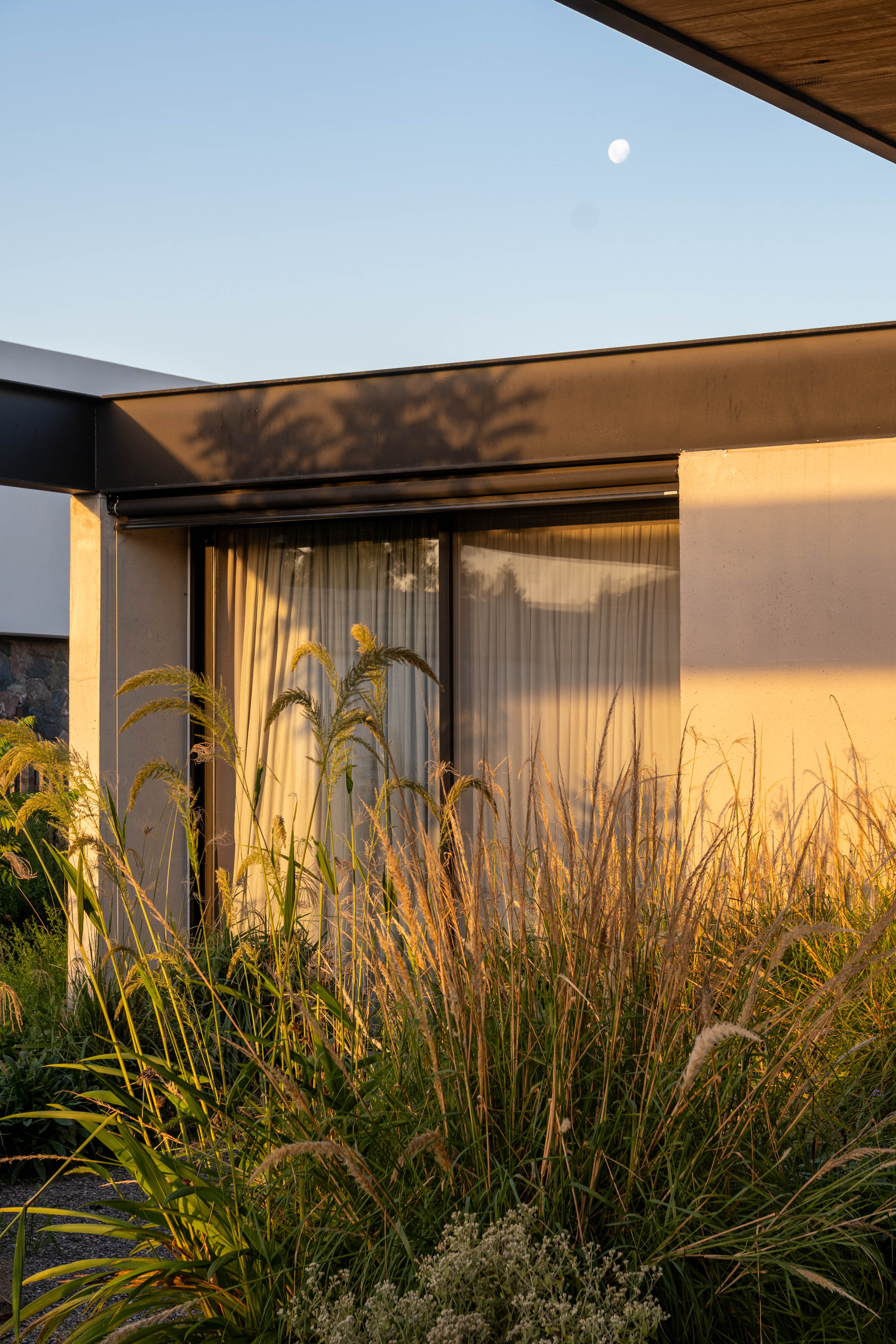 卡纽埃拉斯宅邸丨阿根廷科尔多瓦丨3164.estudio,SDF Arquitectos-22