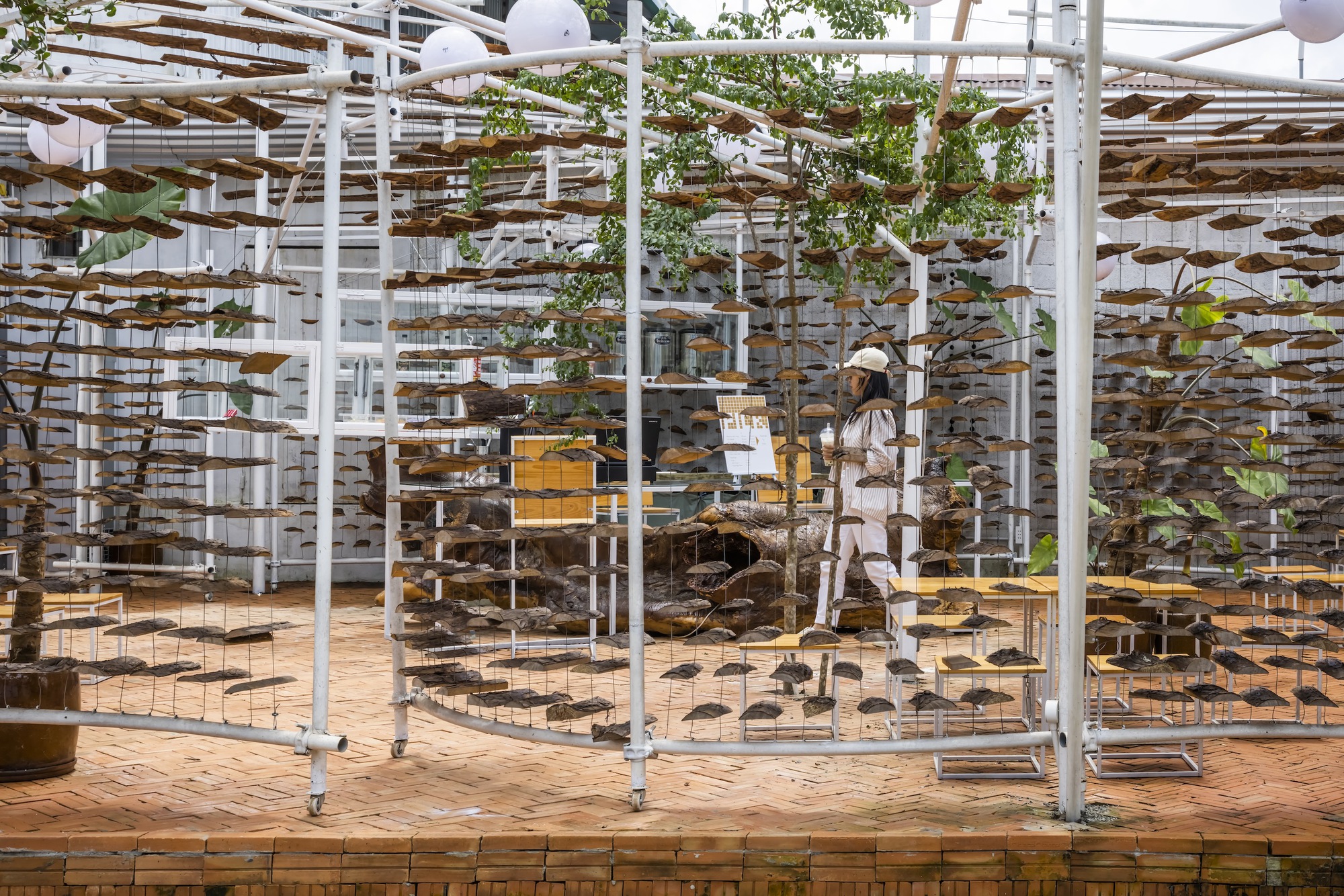 采茶，开花丨越南-16