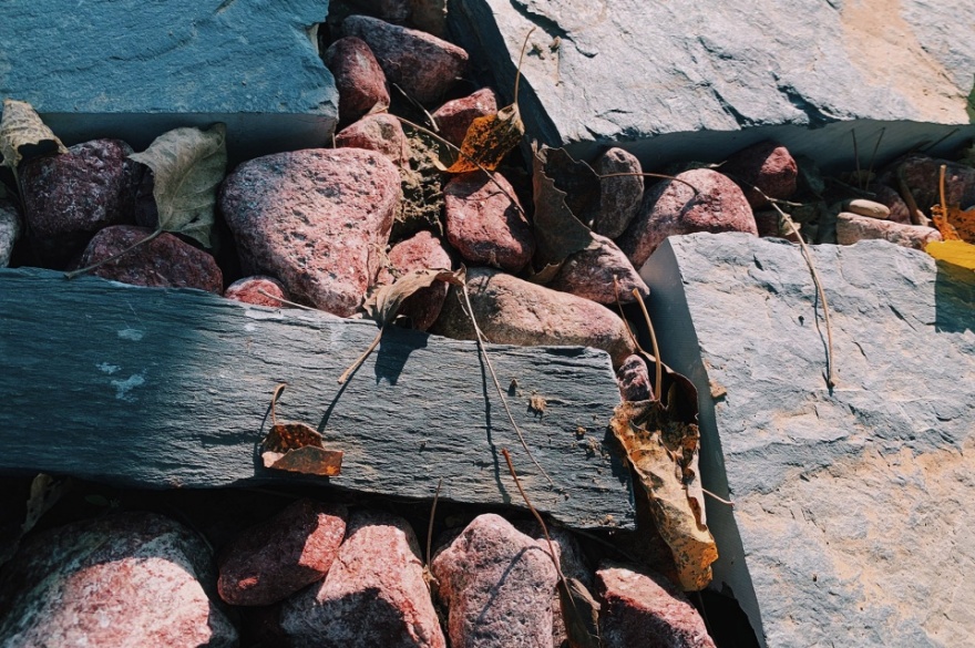 参与式设计 | 第四自然理念下的保护地景观-73