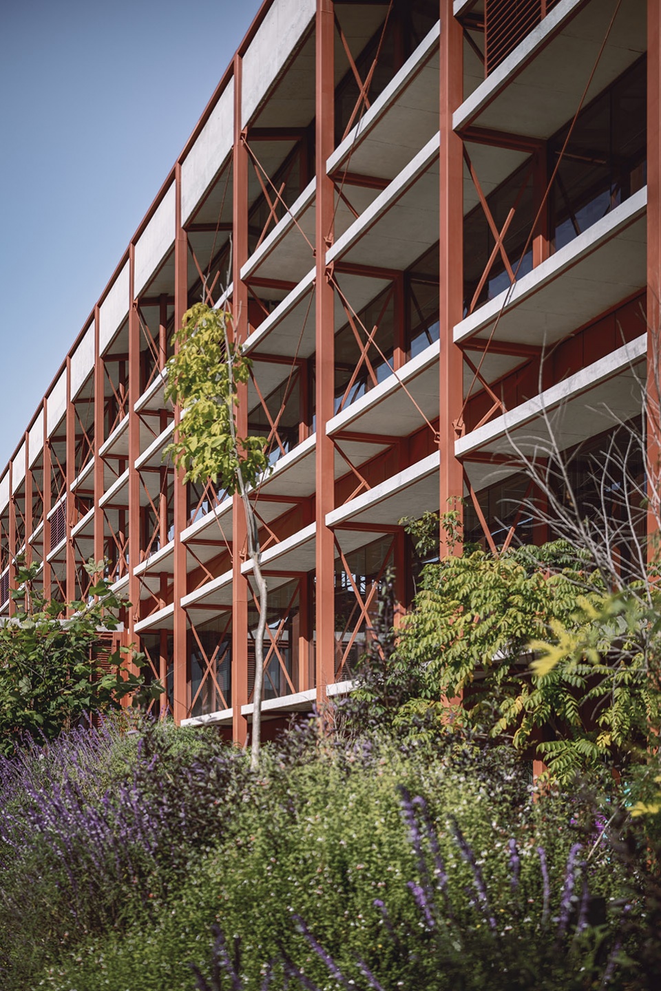 墨西哥 CBG 园区 | 钢筋混凝土与绿色花园的工业风范-13