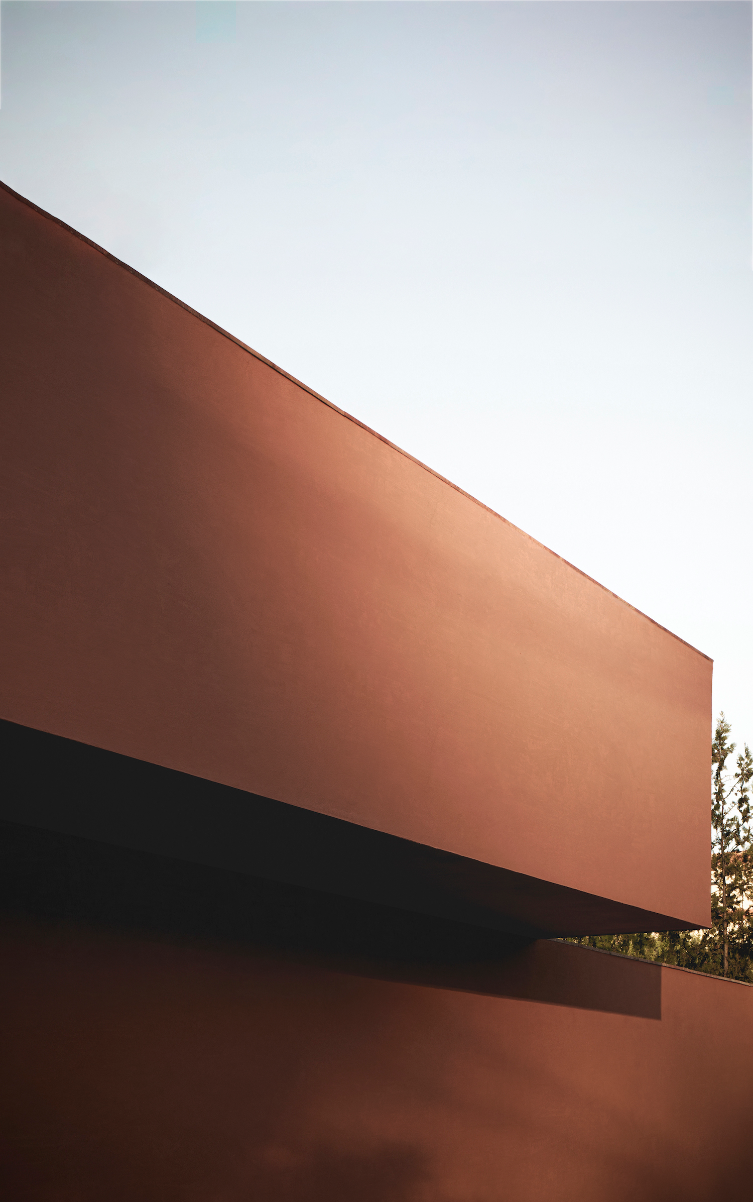 橄榄林屋丨西班牙丨Balzar Arquitectos-44