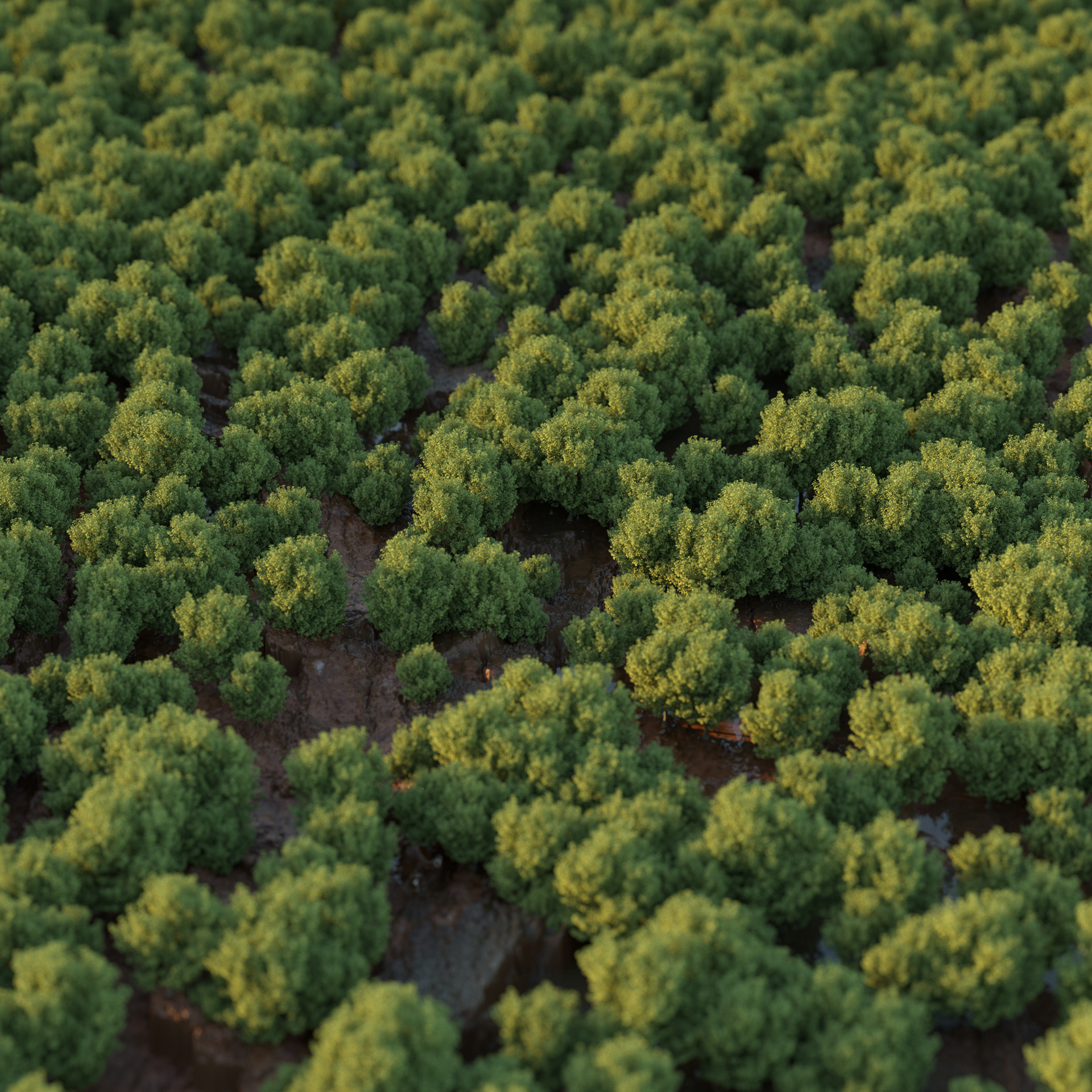 Book design produit & architecture-103