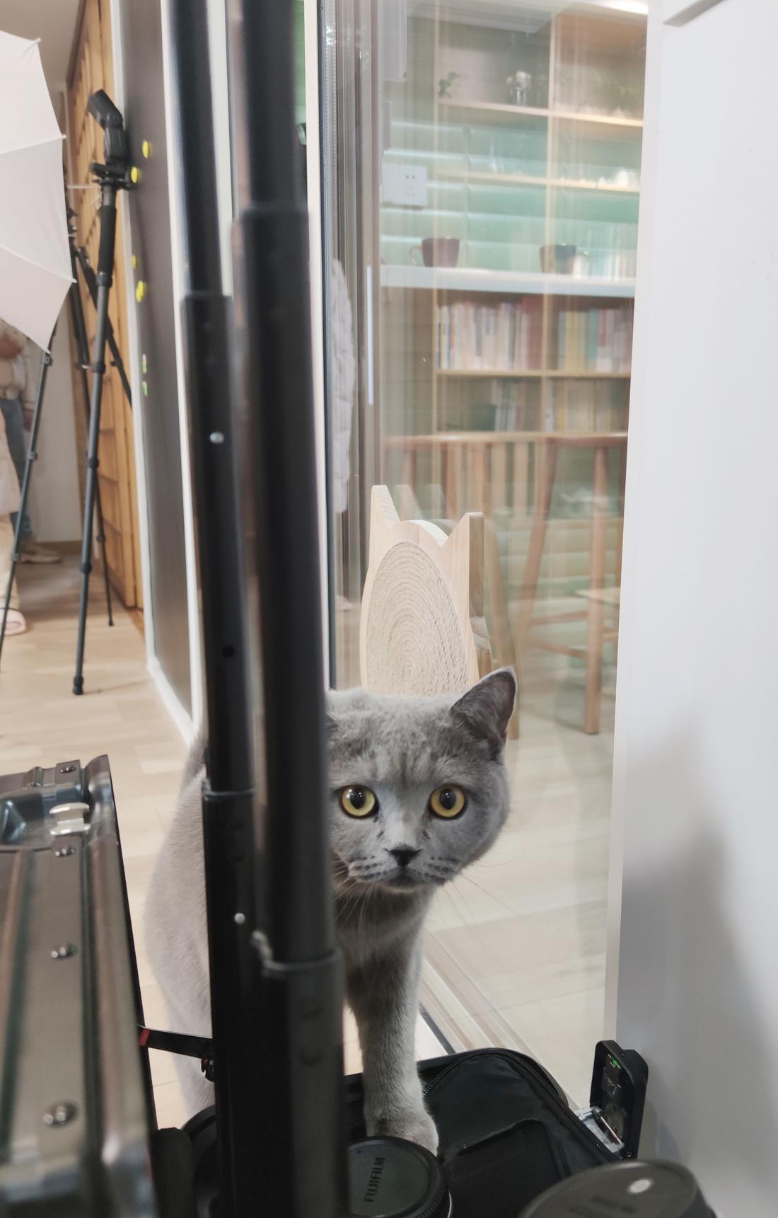 龙猫之家 · 打破空间限制的实用设计-51