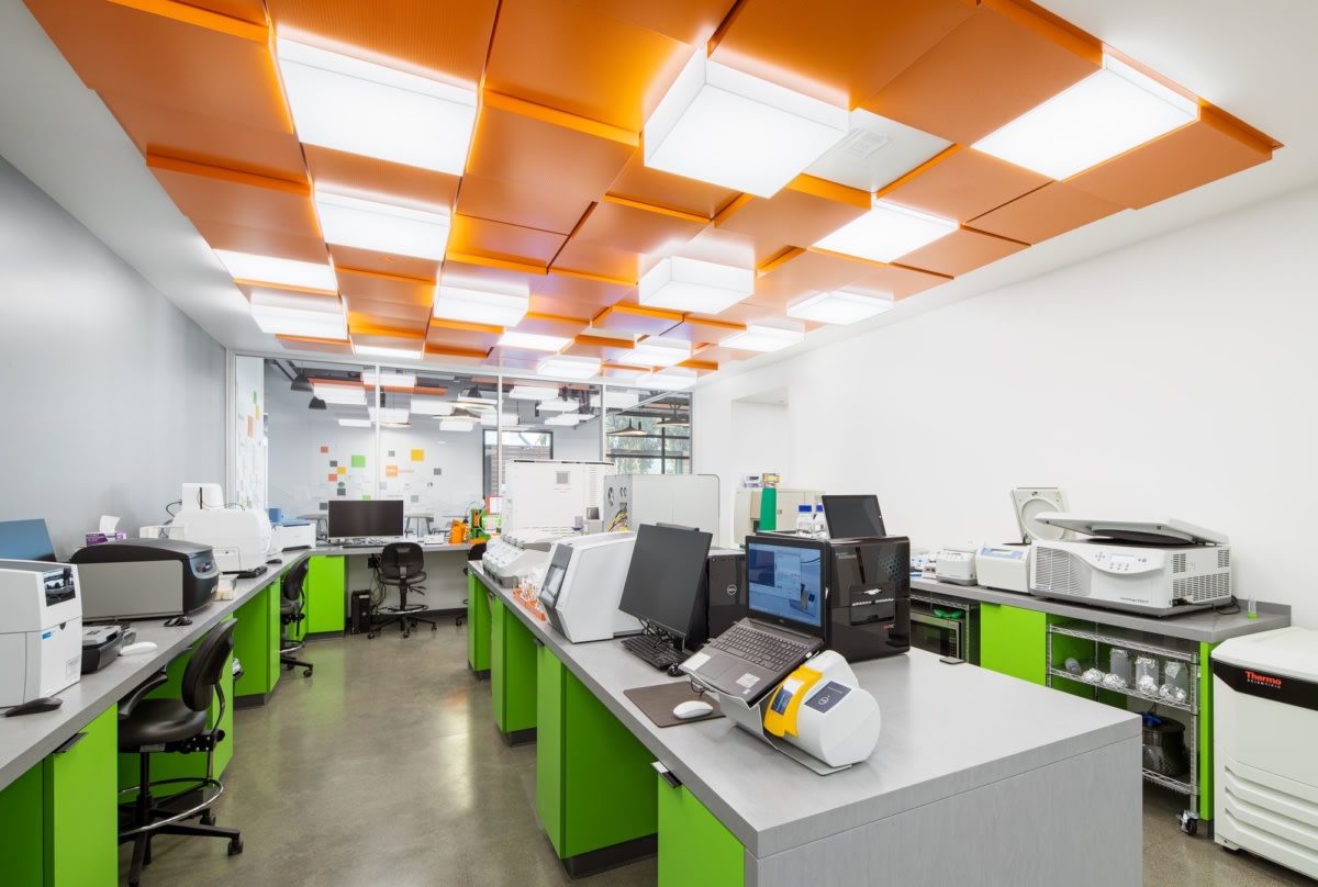 MBC BioLabs 实验室-10