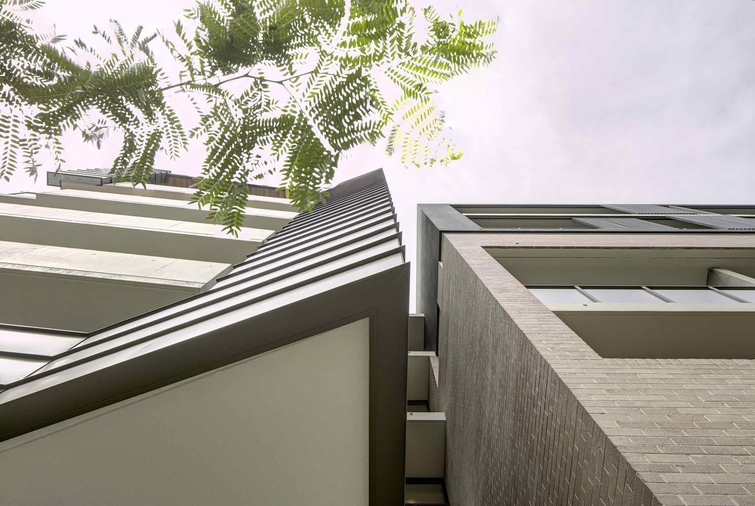 Wellington on the Park  Fox Johnston-53