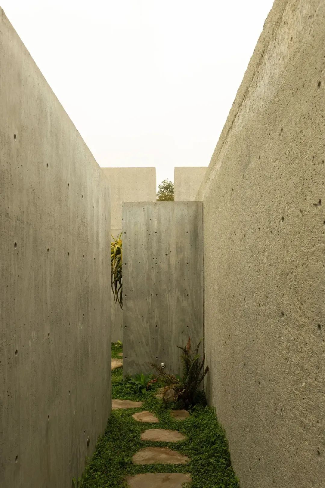 丨美国密歇根丨Norman Carver Jr.-104