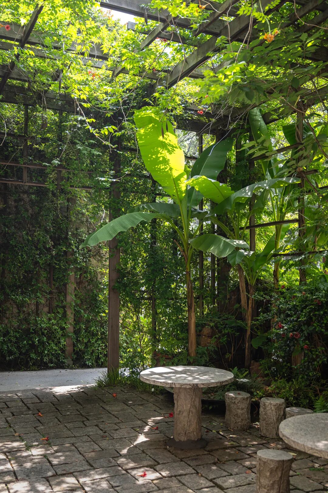 内建築作品｜自然织补的太湖漫山岛-32