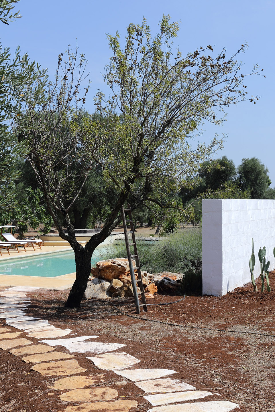 Castelluccio别墅，意大利 / Studio Andrew Trotter-81