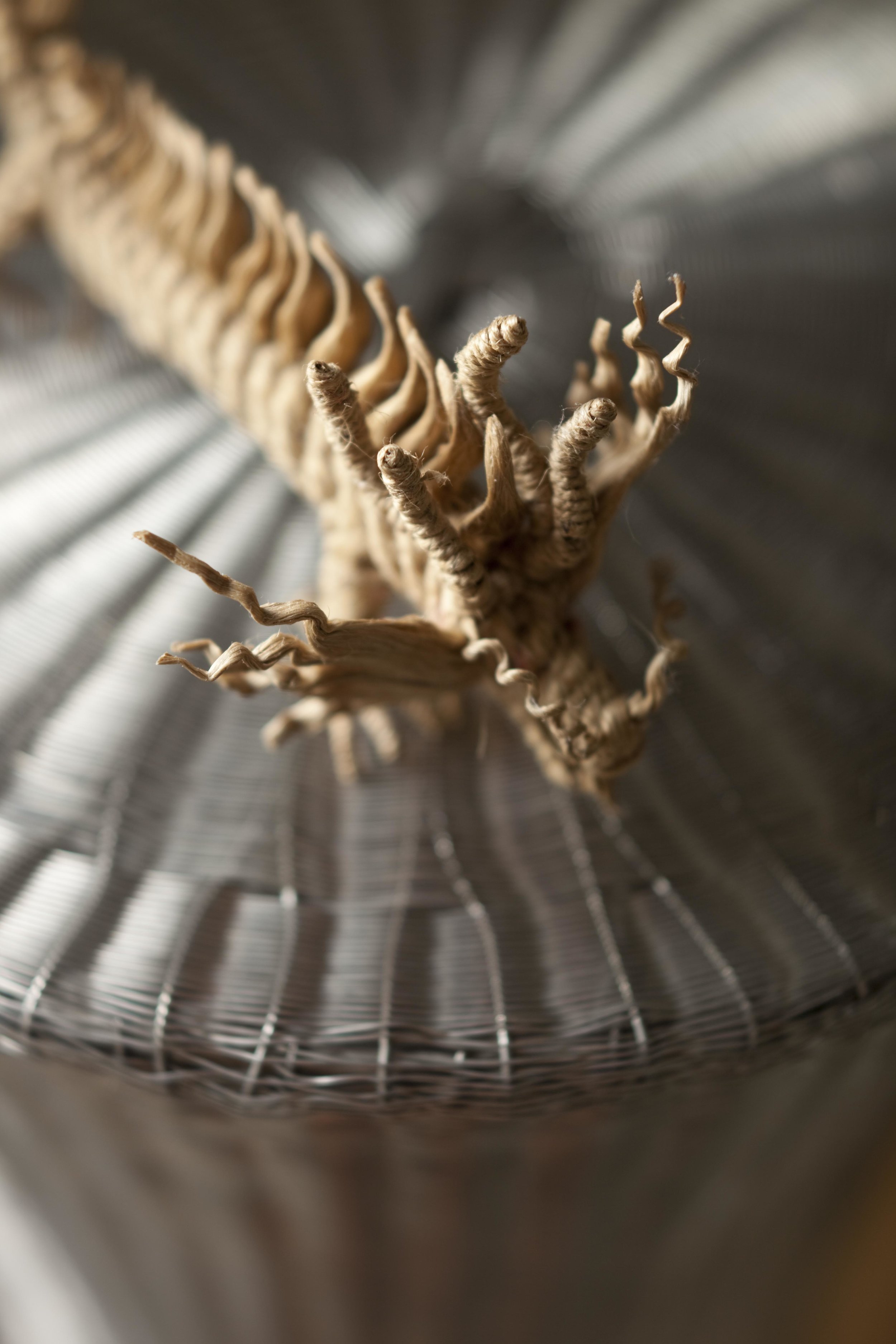 楠塔基特·SCW室内设计公司（注：若SCW有特定含义，需结合具体背景确定更准确译法，这里按一般情况将Interiors译为室内设计公司 ） 丨美国-35