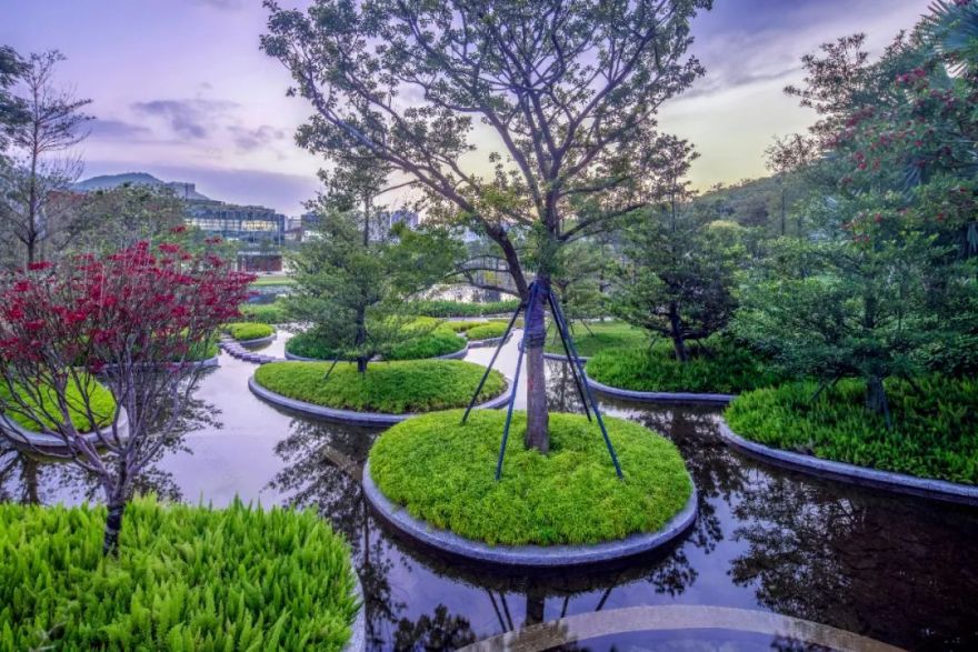 隐入山水脉络的生态校园 · 深圳南科大景观设计丨中国深圳丨湖北城隆市政园林设计研究有限公司-4