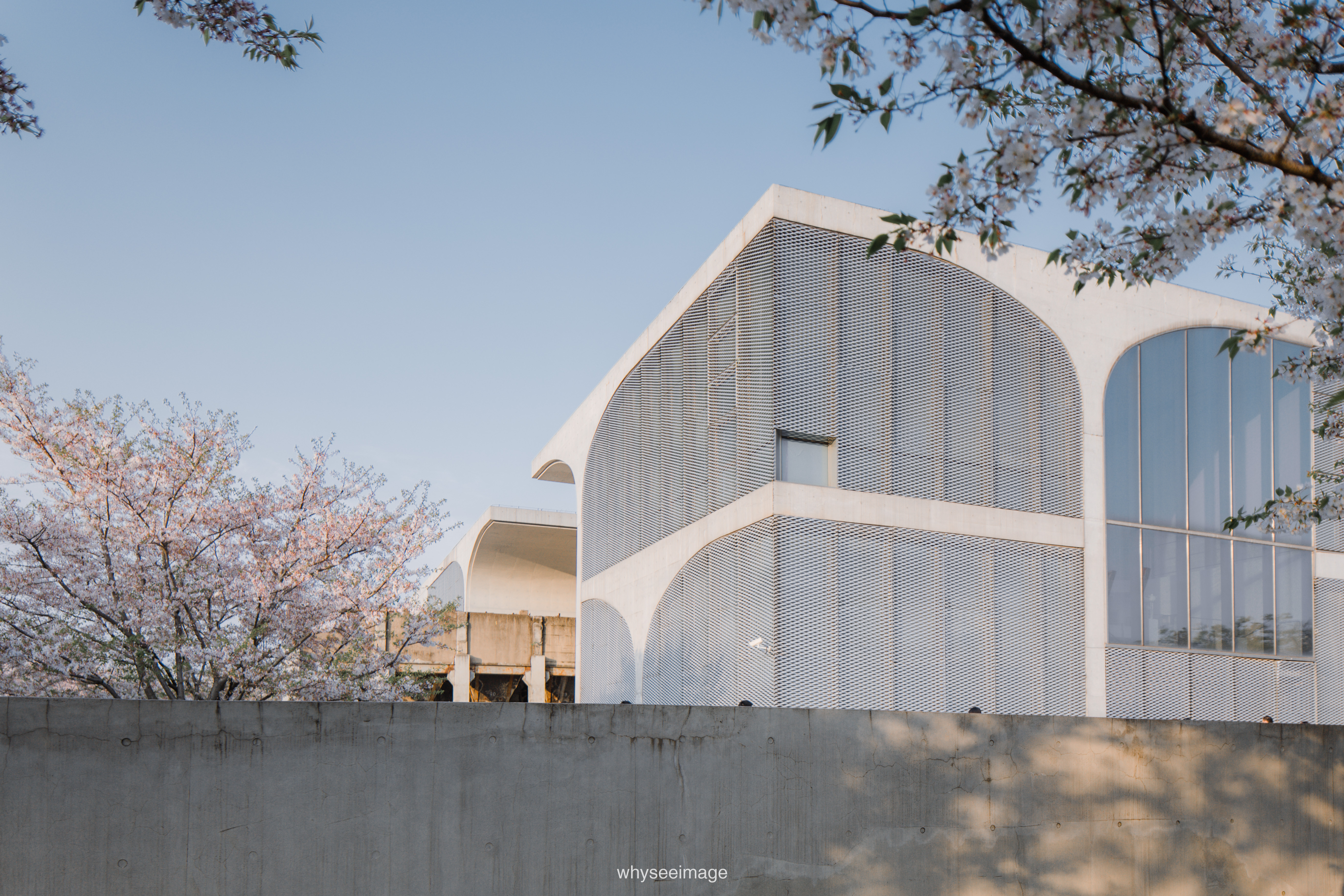 樱花+龙美术馆丨中国上海丨大舍建筑设计工作室-98