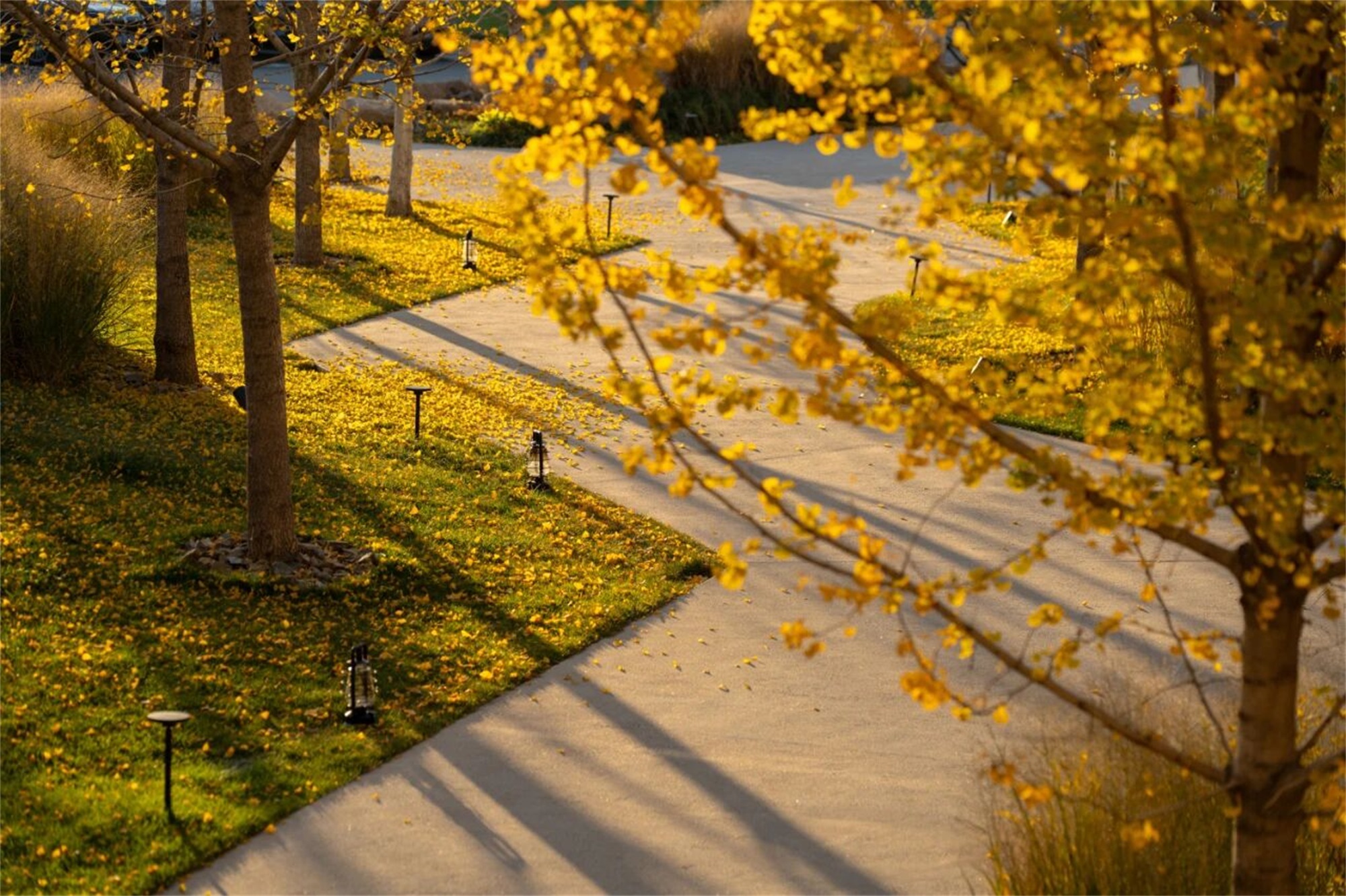 阿那亚金山岭酒店组团丨中国河北丨WTD纬图设计-28