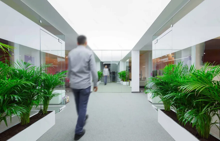 社交网络管理公司 Hallakate 的舒适办公空间-9