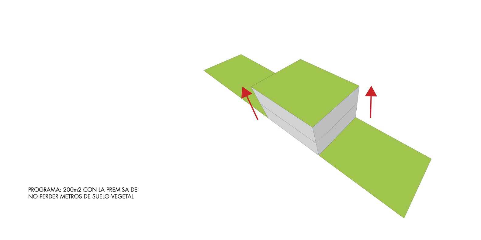 绿意盎然的三维家园·阿根廷备忘录屋(MeMo House)-69