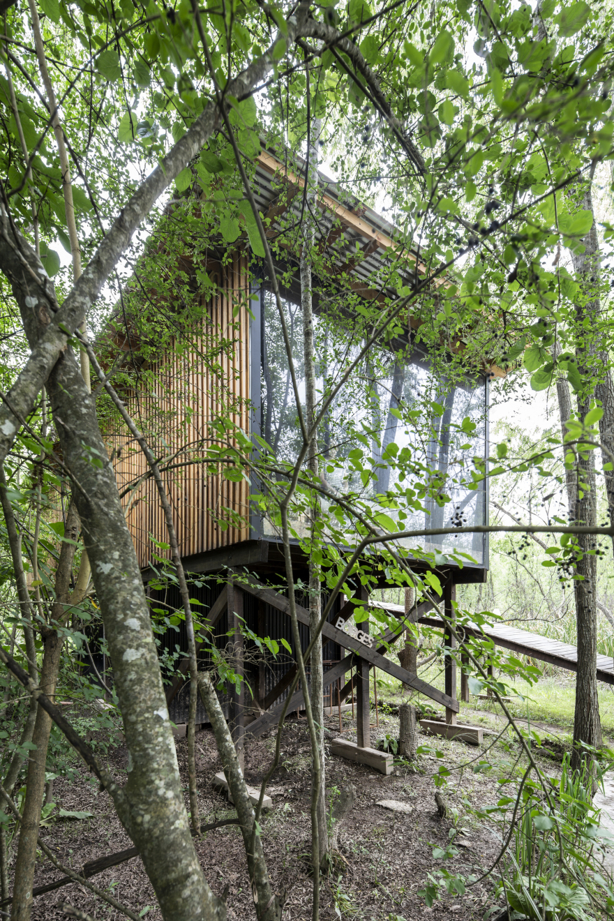 House in Delta Buenos Aires / Matías Cosenza Arquitecto-22