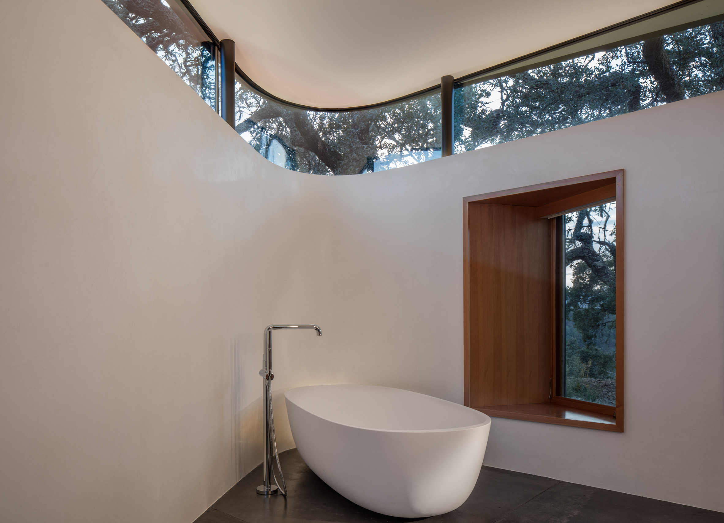 Tree lichen influences California house by Schwartz and Architecture-20