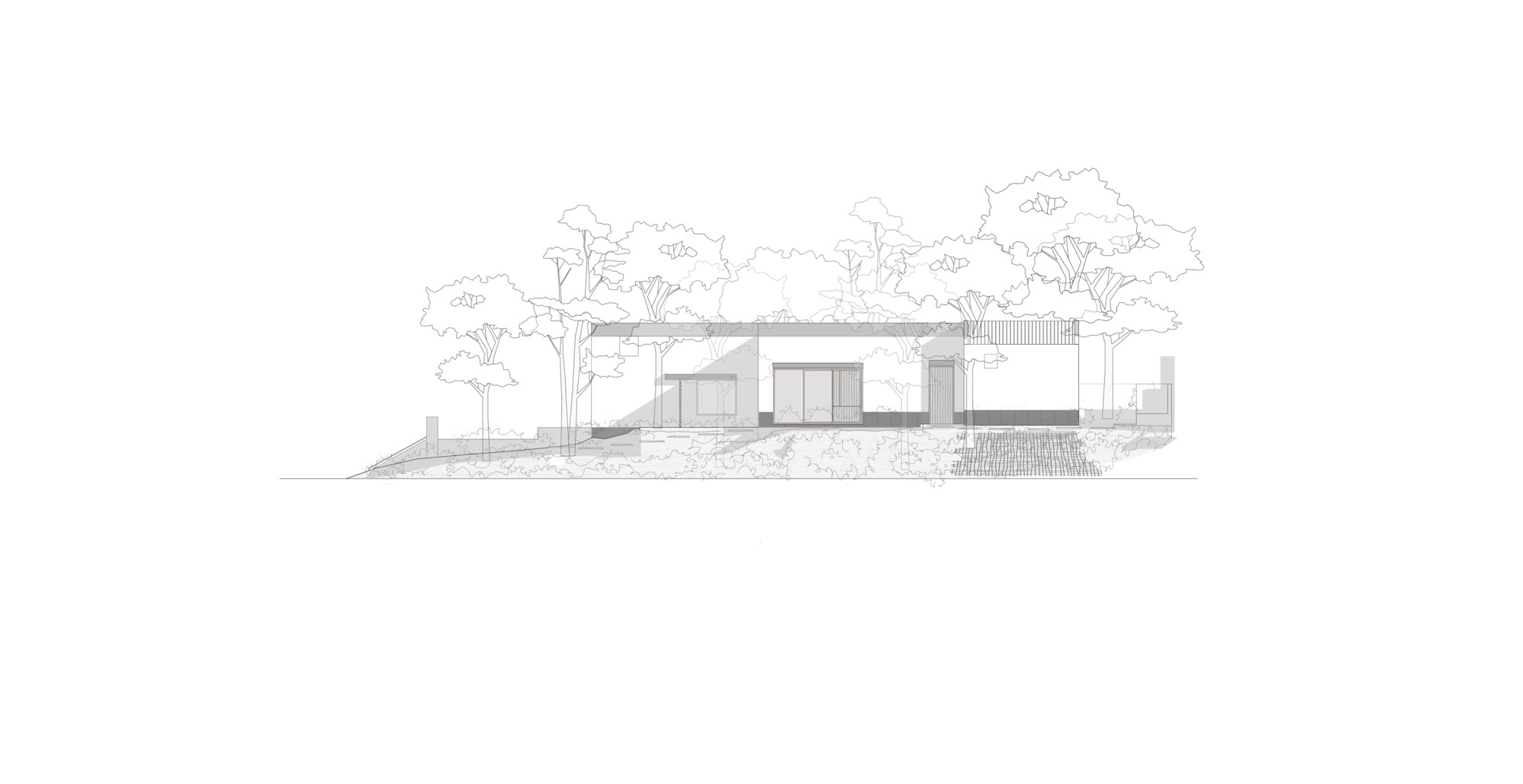 丨墨西哥墨西哥城丨Estudio Radillo Alba-40