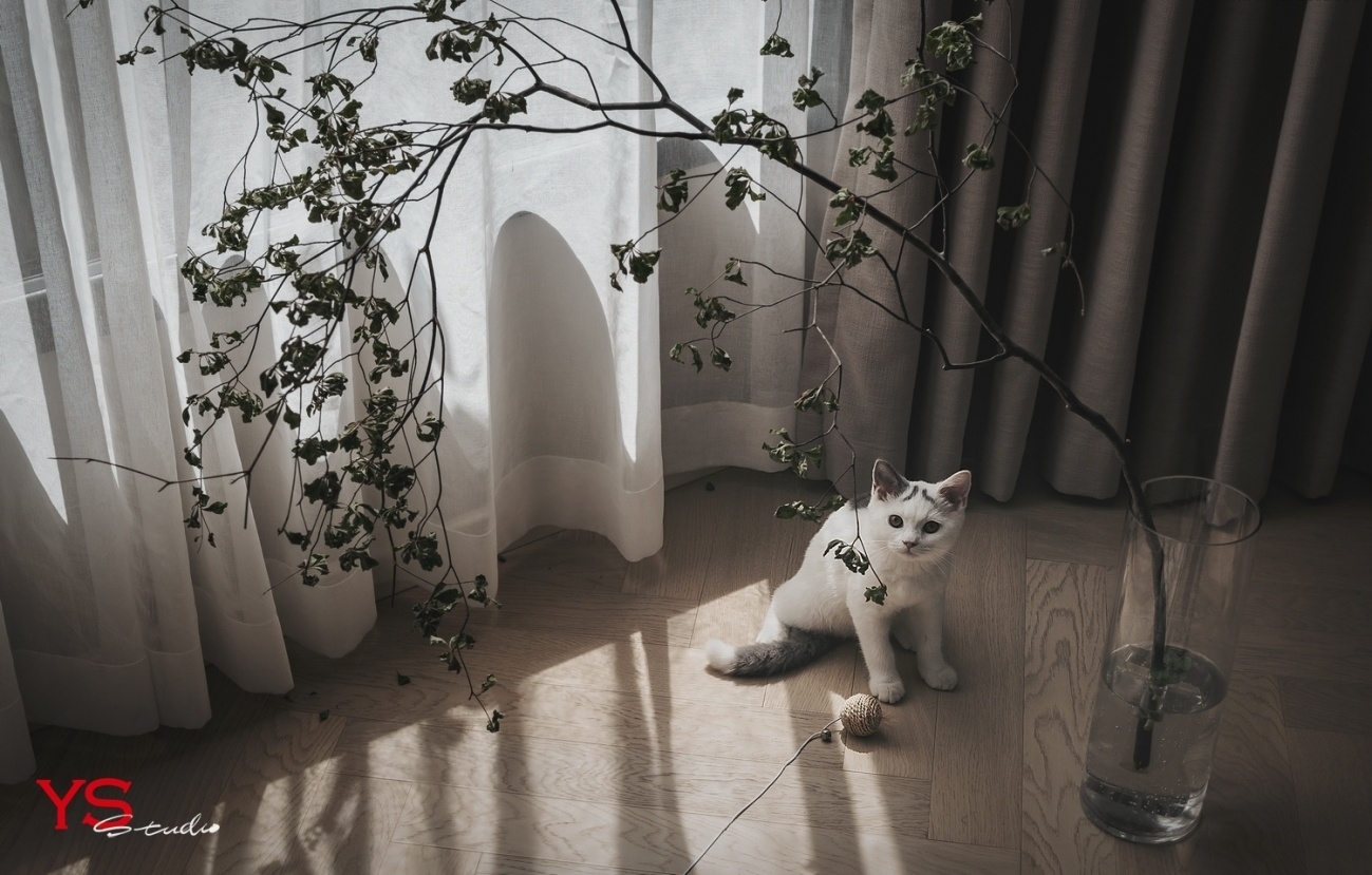 奶咖色之家 · 融合复古与极简的一室设计丨中国重庆-68