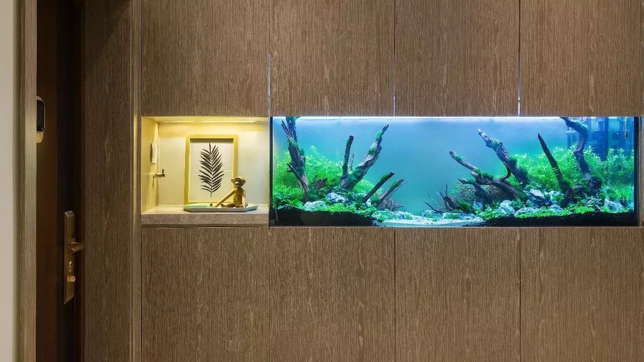 《WOW 新家》上海老公房改造，层高 3.25 米的空间魔法-41