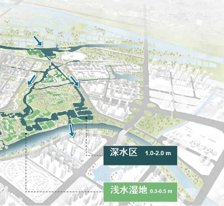 顺德鹭鸟湿地片区景观规划丨中国佛山丨AECOM-31