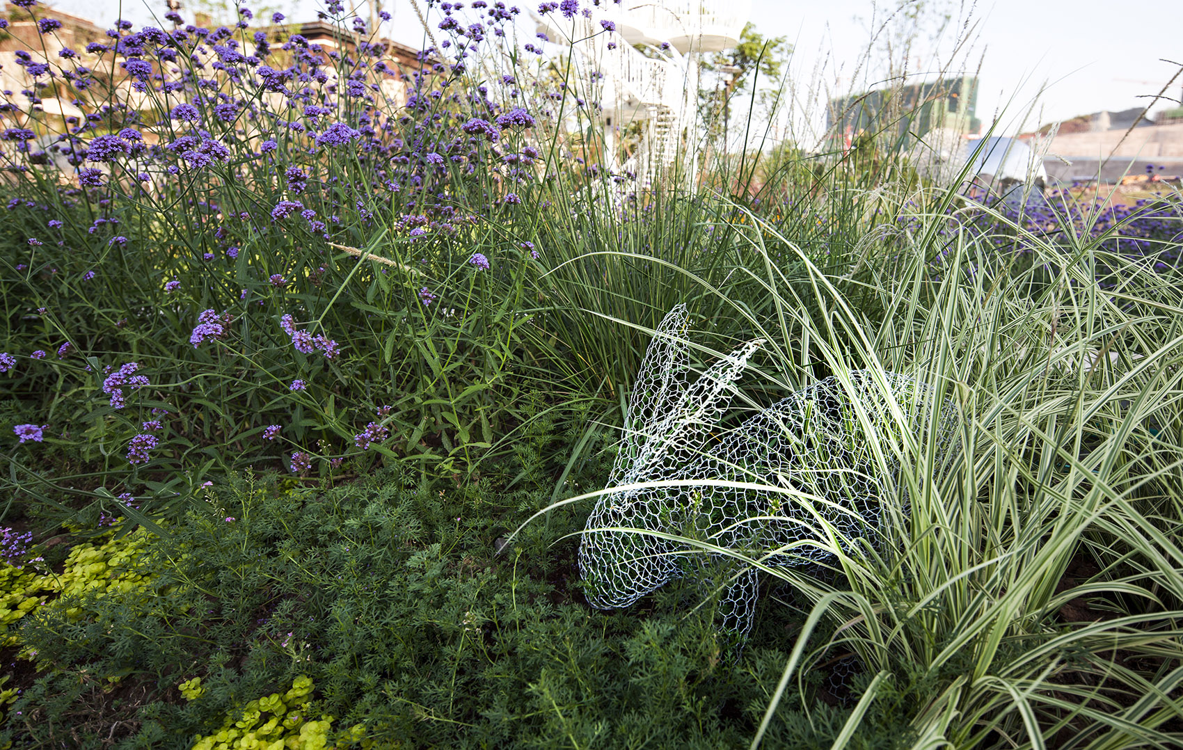 重庆东原·湖山樾景观设计 / 盒子设计-33