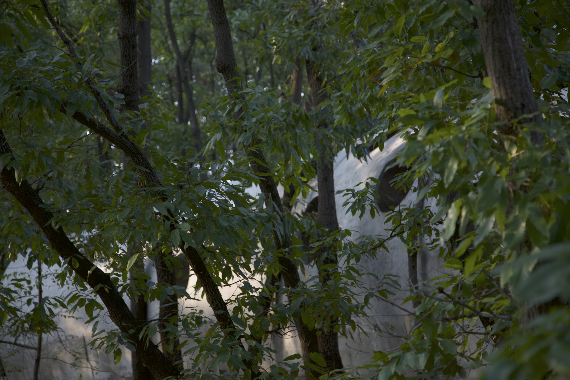 卧虎藏龙美术馆丨中国日照丨孔祥伟工作室-48