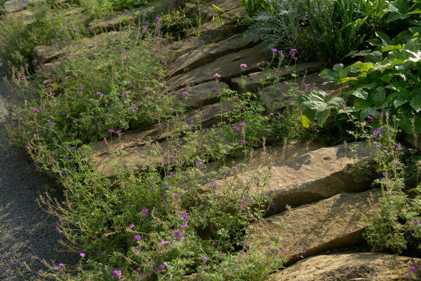 成都趣野公园（屋头公园）丨中国成都丨大小景观-206