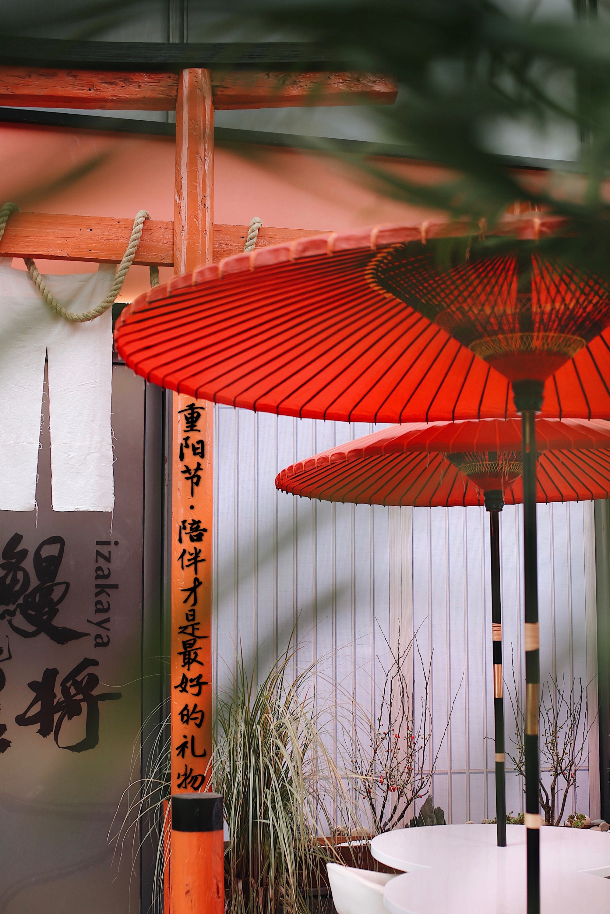 元禾中林设计-小小日料-鳗旨王将-22