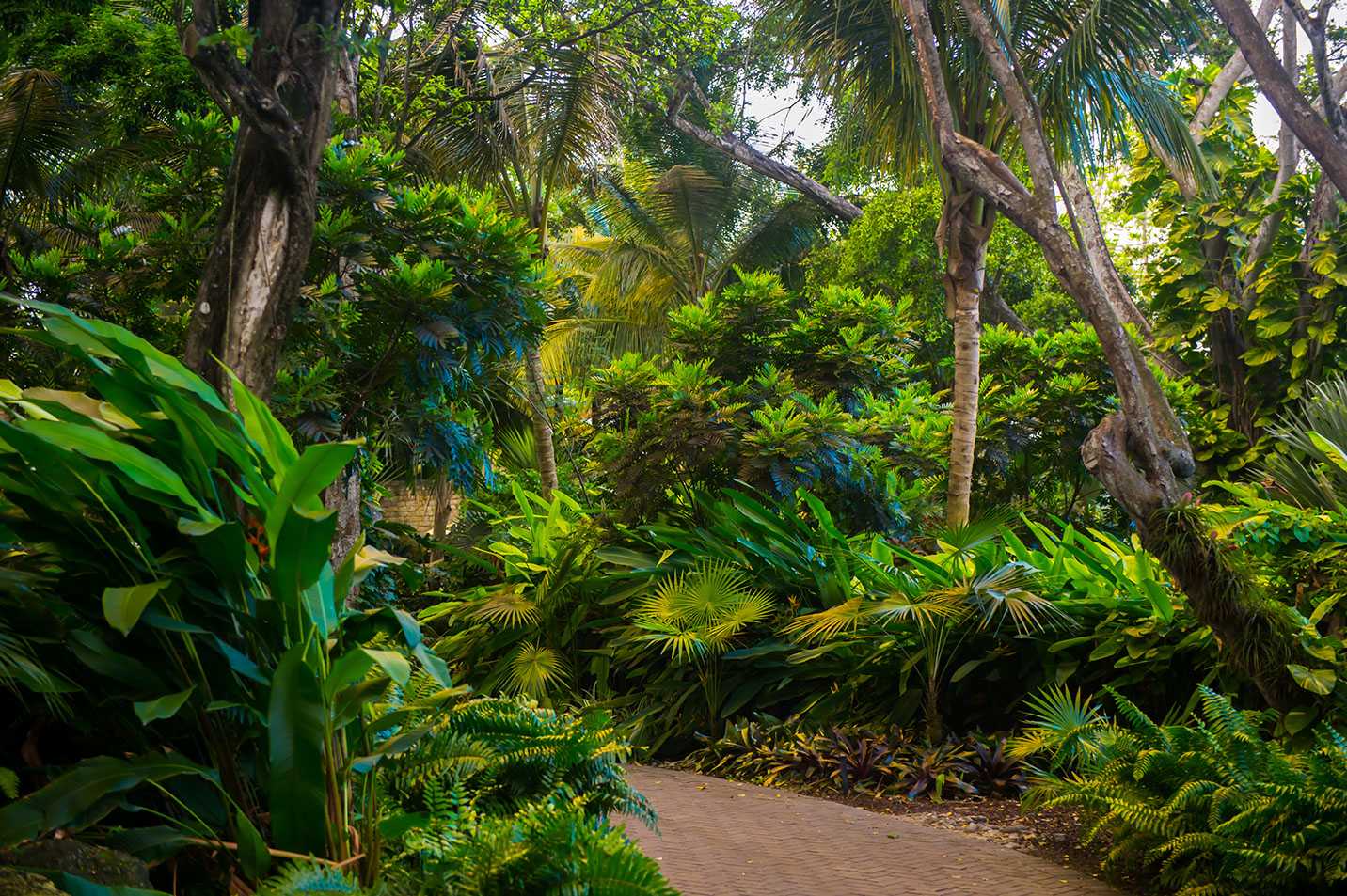 波多黎各多拉多海滩丽思卡尔顿精品度假酒店,Bensley 设计-35