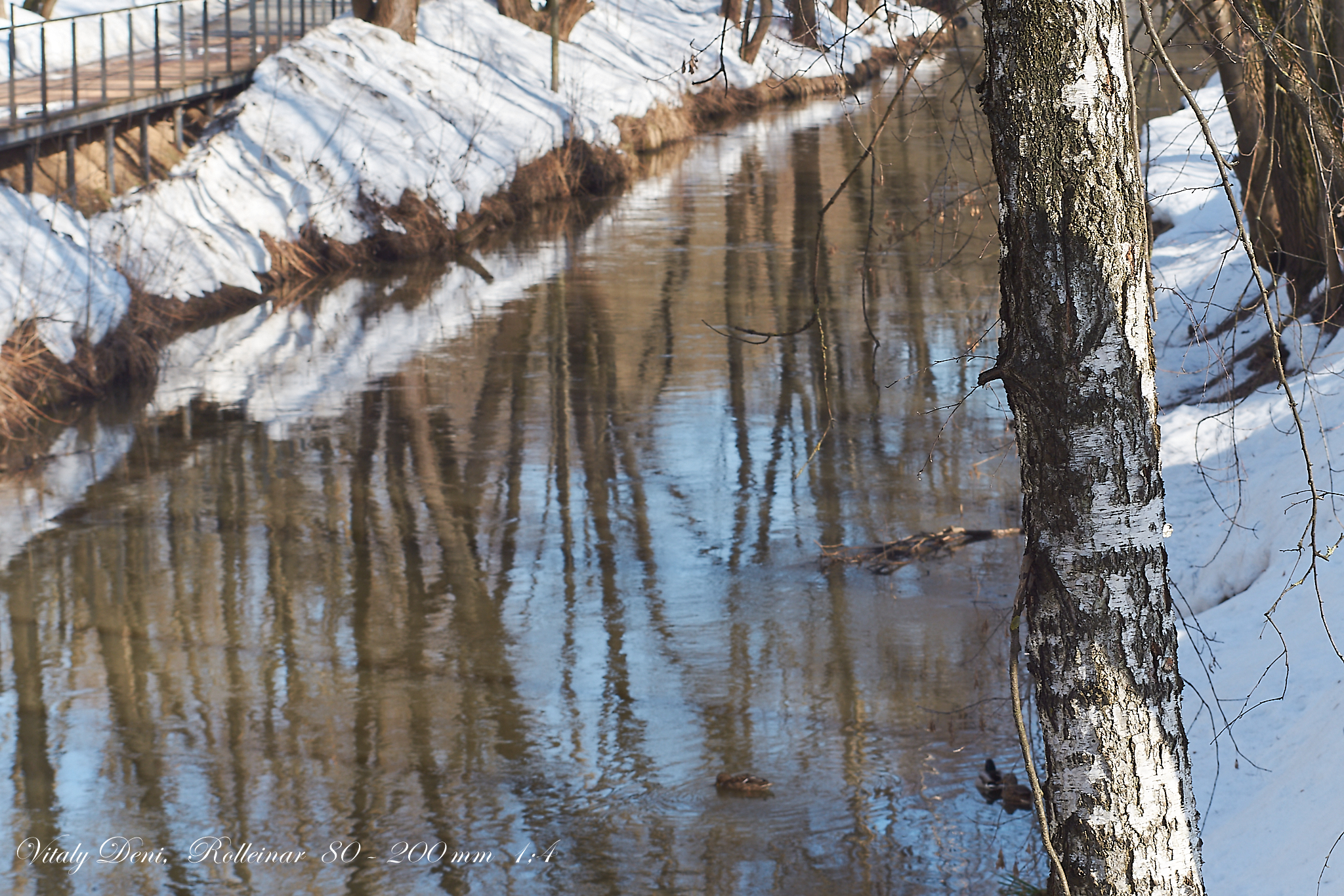 PAINTING EARLY SPRING-7