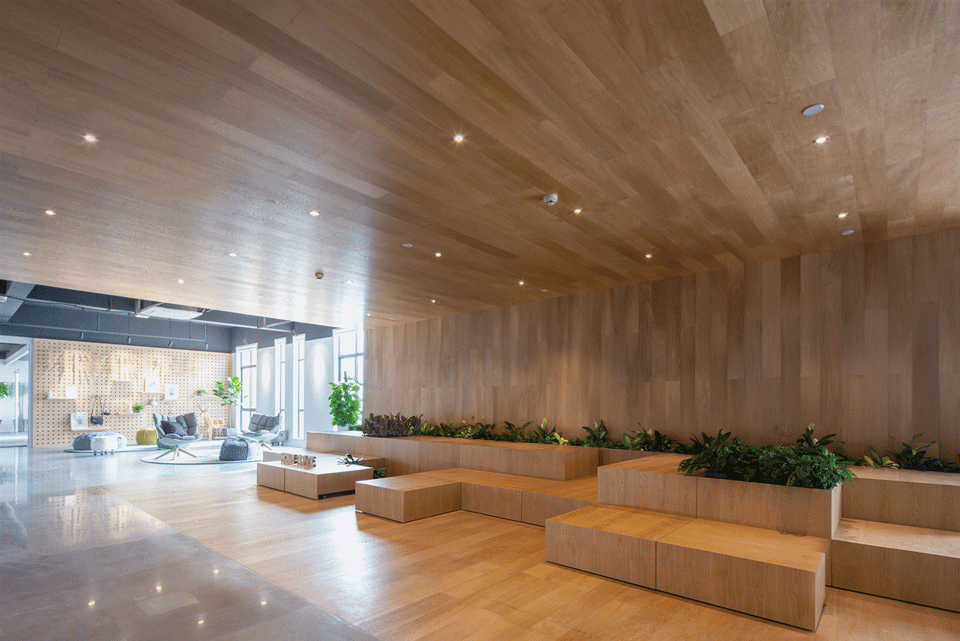 虹越电商办公室-71