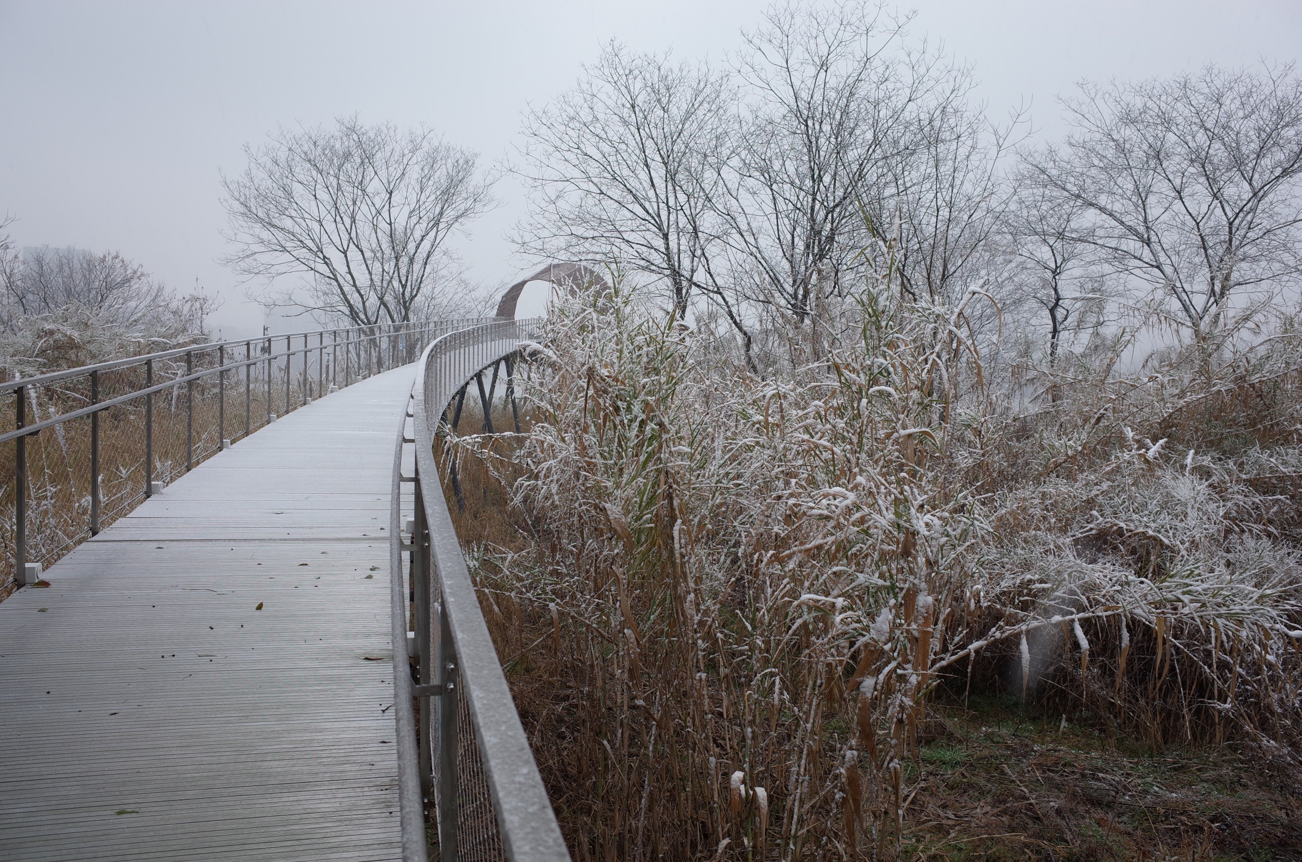 凤翔洲水文化公园丨中国衢州丨张唐景观-6