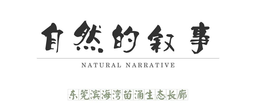 东莞滨海湾苗涌生态长廊丨萨尔瓦多滨海丨广州园林建筑规划设计研究总院有限公司-0