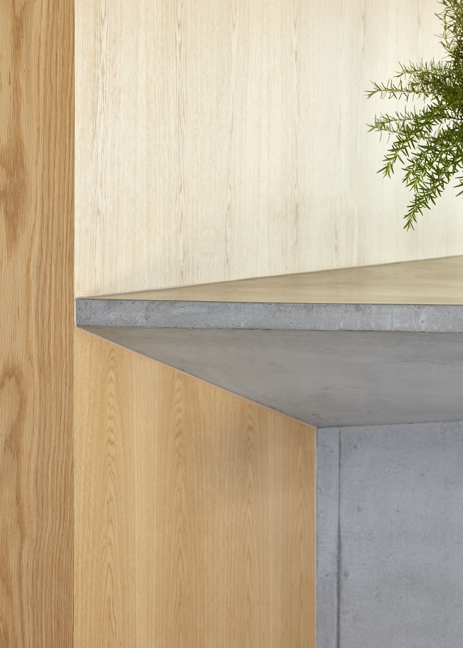 混凝土与绿意的和谐共舞 · Grove House丨澳大利亚悉尼丨Clayton Orszaczky-38